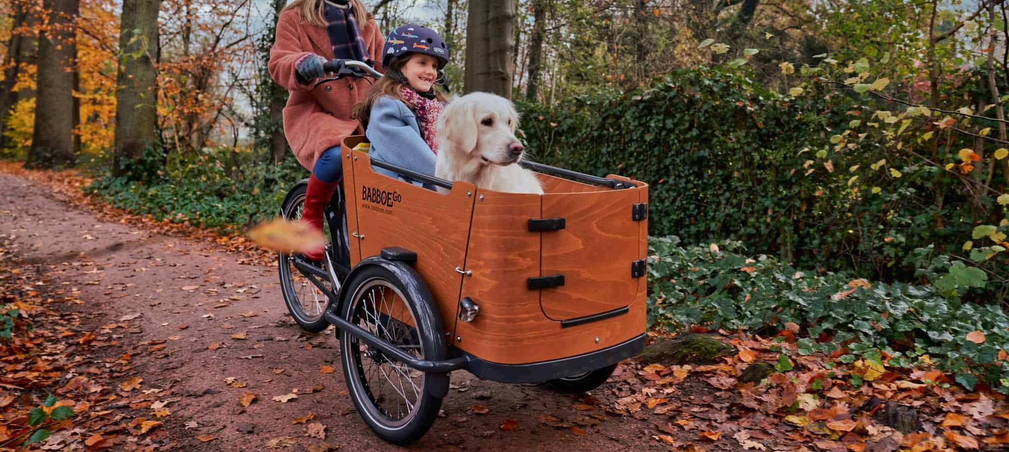 velo triporteur cargobike charge utile transport