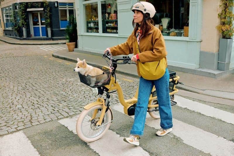 gaya velo cargo tours