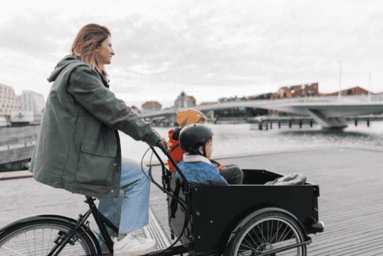 economie velo cargo