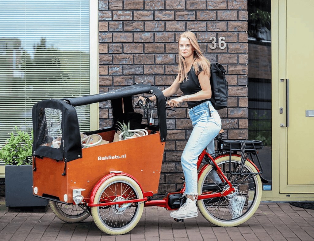 velo cargo bakfiets bois